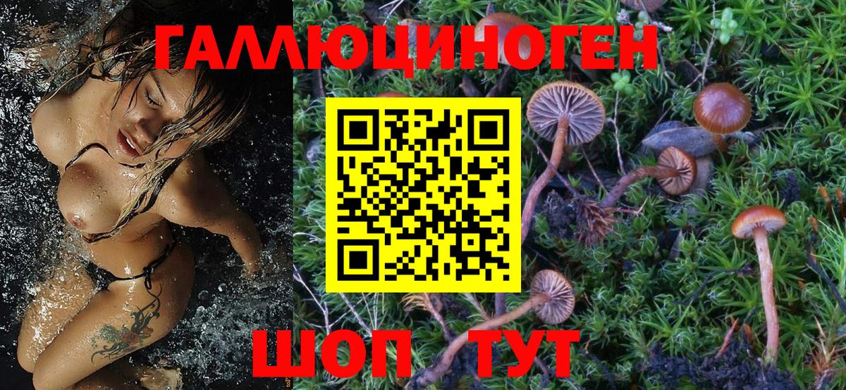 Псилоцибиновые грибы GOLDEN TEACHER Москва