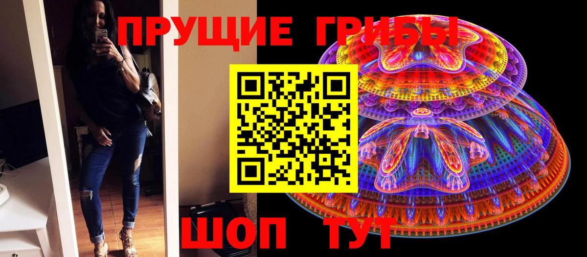 Москва  Псилоцибиновые грибы GOLDEN TEACHER  Вход с VPN  Псилоцибиновые грибы мицелий 